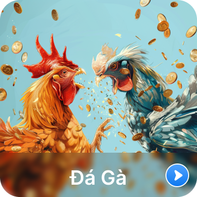 đá gà KUBET